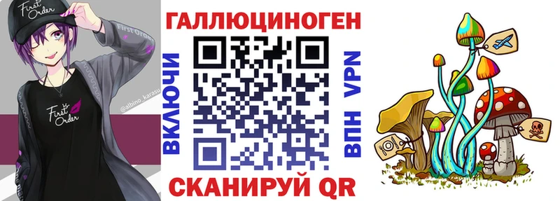 Купить  Куса  Галлюциногенные грибы MAGIC MUSHROOMS 